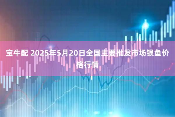 宝牛配 2025年5月20日全国主要批发市场银鱼价格行情