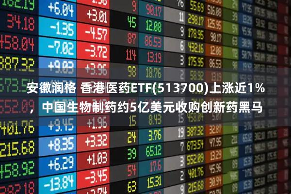 安徽润格 香港医药ETF(513700)上涨近1%，中国生物制药约5亿美元收购创新药黑马